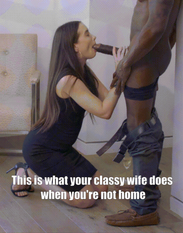 Gif - Your Decent Wifey